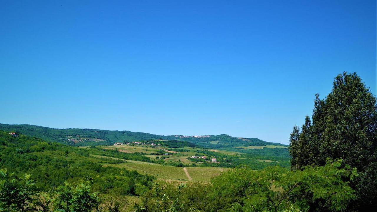 Apartments Garden Motovun Zewnętrze zdjęcie