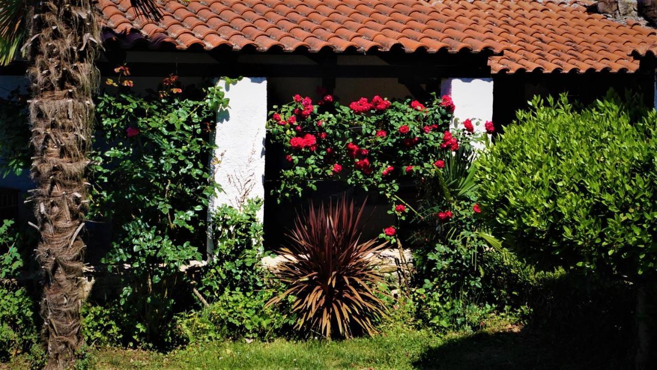 Apartments Garden Motovun Zewnętrze zdjęcie